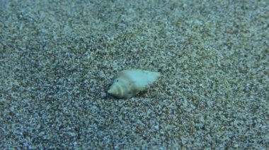 Turistlerin buraya dönmek için denize bozuk para atması adetidir. Bozuk para kumlu dibe düşer..