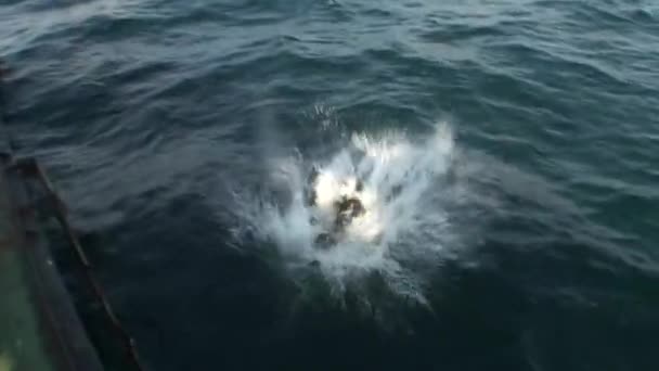 Diver Jumps Water Ship Background Distant Island — 비디오