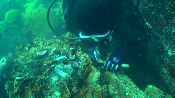 Archeologia Podwodna Naukowcy Badają Pozostałości Ładunku Drewnianego Żaglowca Xviii Wieku — Wideo stockowe