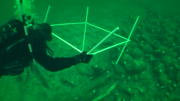 Arqueologia Subaquática Mergulhador Coloca Dispositivo Parte Inferior Para Esboçar Uma — Vídeo de Stock