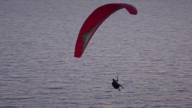 A man on a paraglider on the background of the sea.