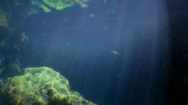 Belirsiz güneş ışınları mağaranın karanlık girişinin arka planına karşı bir ışık perdesi oluşturur..