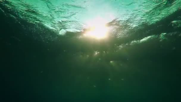 Bewitching Movement Light Beams Formed Sun Rays Passing Vibrating Water — Stock videók