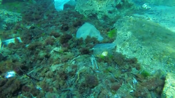 Denizin Plastik Kirliliği Deniz Tabanında Büyük Miktarda Plastik Enkaz Akdeniz — Stok video