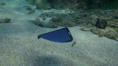 A lost Huawei smartphone on a sandy bottom, an Annular seabream fish swims past.