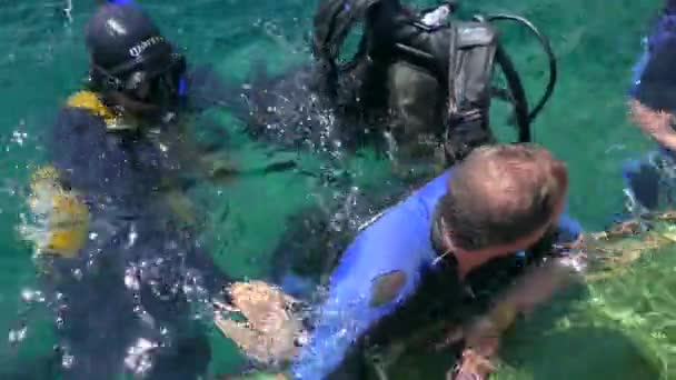 Dive Dive Center Staff Helps Student Diver Take Air Cylinder — Stockvideo