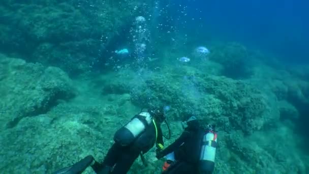 Diving Training Instructor Diving Center Conducts First Dive Student Wide — Vídeos de Stock