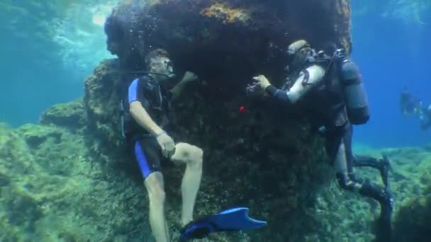Diving Training Diving Instructor Takes Pictures Divers Dive — Video Stock