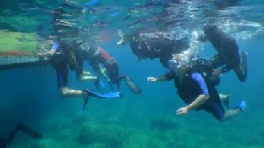 Diving training: a group of divers completes a dive near a floating platform, where staff helps them to remove equipment, split.