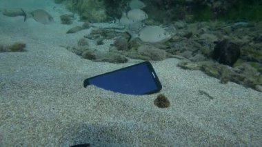 A lost Huawei smartphone on a sandy bottom surrounded by a flock of Annular seabream fish, underwater.