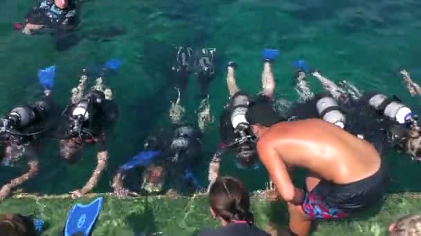 Young Man Diving Center Instructor Points Out Dive Participants Mistakes — Stock Video
