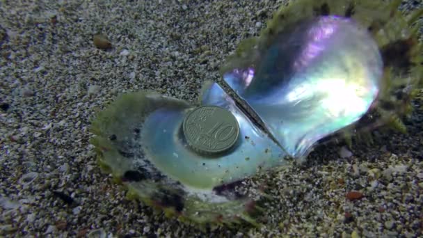 Custom Tourists Throw Coin Sea Return Place Coin Lies Shell — 图库视频影像