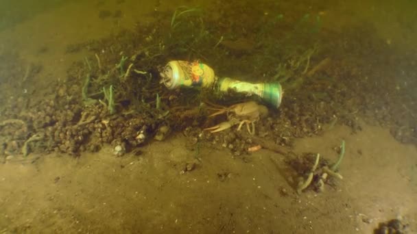 Dnieper River Ukraine June 2018 Pollution Water Bodies Metal Cans — Stock video