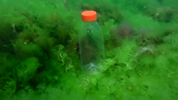 Plastic Pollution Ocean Pvc Bottle Sways Waves Seabed Covered Algae — Stok video