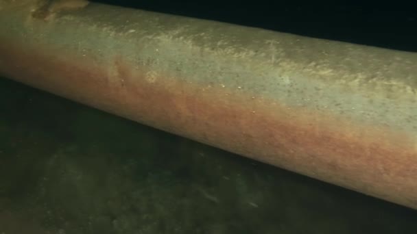 Câmera Move Lentamente Longo Gasoduto Subaquático — Vídeo de Stock