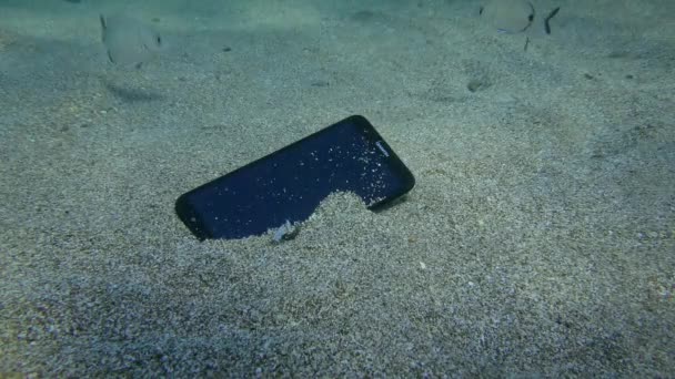 Потерянный Huawei Смартфон Песчаном Дне Видят Несколько Кольцевых Морских Рыб — стоковое видео