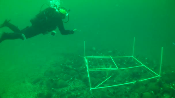 Underwater Archeology Sketching Underwater Archaeological Object Using Special Device Installed — Stock Video