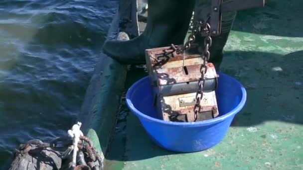 Pesquisa Marinha Científica Oceanográfica Garra Inferior Manual Abaixada Água Para — Vídeo de Stock