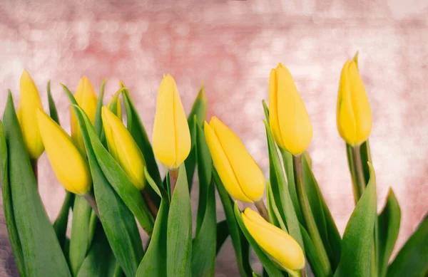柔和粉色背景的黄色郁金香束 免版税图库照片