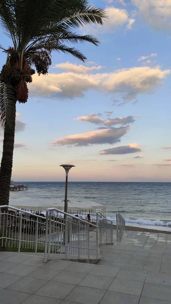 Zeegezicht Pluizige Witte Schelpen Bij Zonsondergang Tegen Blauwe Lucht — Stockfoto