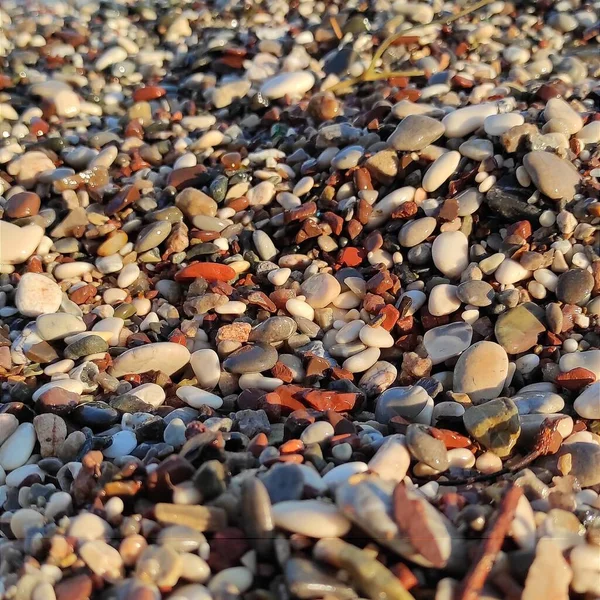 Multi-colored water-polished pebbles close-up on the seashore in daylight