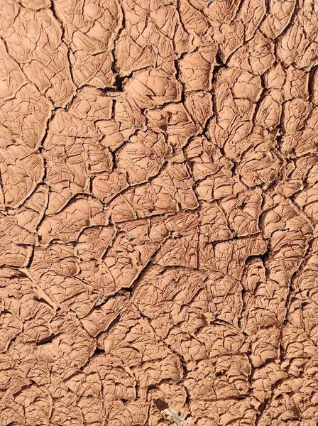 Dry clay soil cracked from the sun after rain