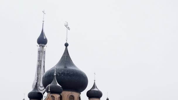 Cúpulas Igreja Espírito Santo Sobre Quais Voam Corvos Close Bialystok — Vídeo de Stock