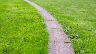 Yeşil çimen ve dolambaçlı taş patika. Kapat.