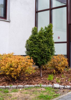 Avrupa 'daki avlunun lüks peyzaj tasarımı. Park manzarası ve dış tasarım. Yeşil çimen, güzel tasarlanmış bahçe, eve yakın bir bölge.. 