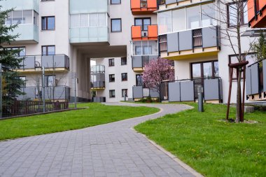 Beautiful area in the courtyard of a multi-storey building in the spring. Landscaping, green lawn and flowering tree