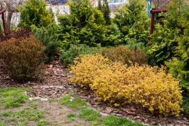 Avrupa 'daki avlunun lüks peyzaj tasarımı. Park manzarası ve dış tasarım. Yeşil çimen, güzel tasarlanmış bahçe, eve yakın bir bölge.. 
