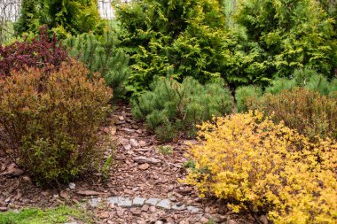 Avrupa 'daki avlunun lüks peyzaj tasarımı. Park manzarası ve dış tasarım. Yeşil çimen, güzel tasarlanmış bahçe, eve yakın bir bölge.. 