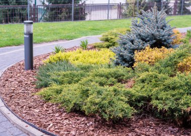 Avrupa 'daki avlunun lüks peyzaj tasarımı. Park manzarası ve dış tasarım. Yeşil çimen, güzel tasarlanmış bahçe, eve yakın bir bölge.. 