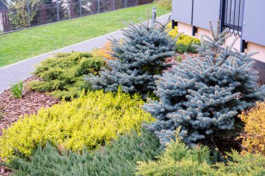 Avrupa 'daki avlunun lüks peyzaj tasarımı. Park manzarası ve dış tasarım. Yeşil çimen, güzel tasarlanmış bahçe, eve yakın bir bölge.. 