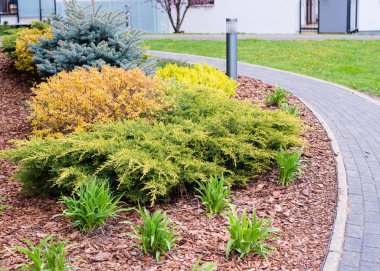 Avrupa 'daki avlunun lüks peyzaj tasarımı. Park manzarası ve dış tasarım. Yeşil çimen, güzel tasarlanmış bahçe, eve yakın bir bölge.. 