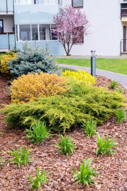 Avrupa 'daki avlunun lüks peyzaj tasarımı. Park manzarası ve dış tasarım. Yeşil çimen, güzel tasarlanmış bahçe, eve yakın bir bölge.. 