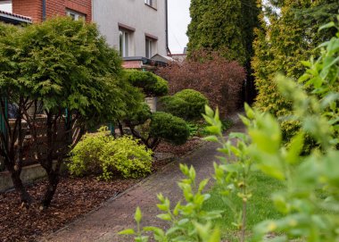 Baharda özel bir evin avlusunda güzel bir manzara tasarımı.