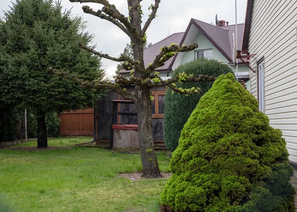 Baharda özel bir evin avlusunda güzel bir manzara tasarımı.