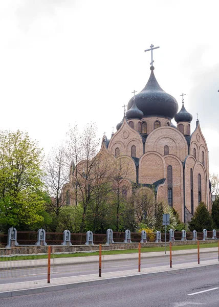 Veduta Della Chiesa Attraverso Fioritura Della Mugnolia Bianca Primavera Polonia — Foto Stock