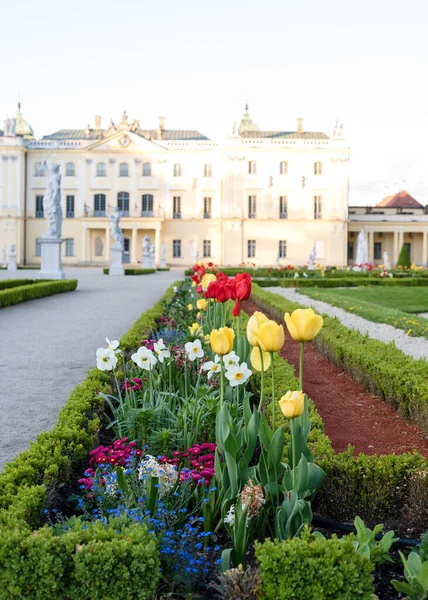 Baharda günbatımında Branicki Sarayı 'nın bahçelerine çiçek tarlaları, boxwood labirentleri, çeşmeler ve heykeller. : Polonya, Bialystok, Branicki Sarayı ve saraydaki bölge, Mayıs 2022.