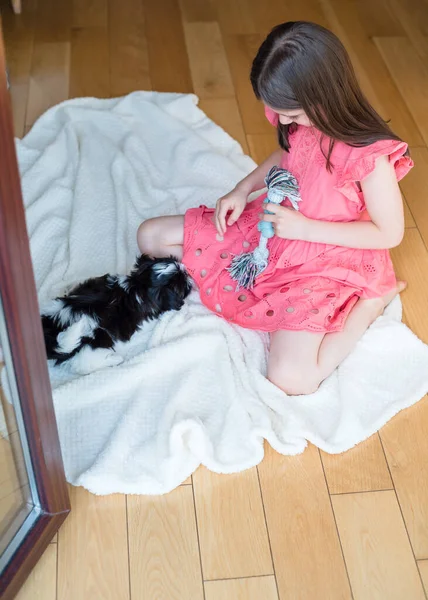 Year Old Girl Plays Shih Tzu Puppy — Stock Photo, Image