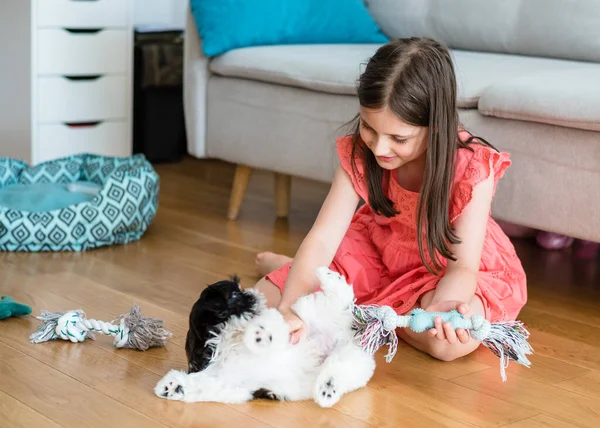 Little Girl Playing Shih Tzu Puppy Girl Years Old Pink — Foto de Stock