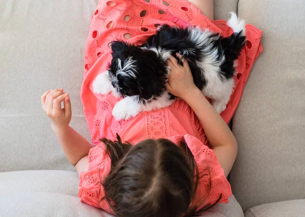 Little Girl Shih Tzu Puppy Her Arms — Φωτογραφία Αρχείου