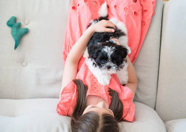 Little Girl Shih Tzu Puppy Her Arms — Φωτογραφία Αρχείου