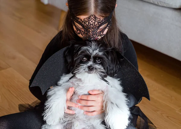 万圣节的概念 家里带着一只小狗 穿着节日万圣节服装的女孩 — 图库照片