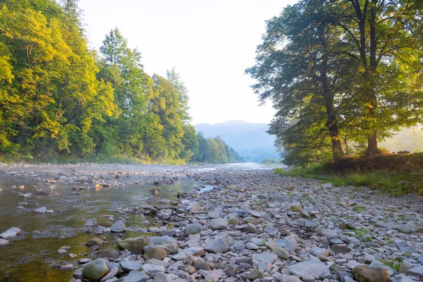 Beautiful mountain river at dawn, fog. Ukraine. The Carpathians. Travels. Rest in nature Nature