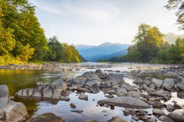 Beautiful mountain river at dawn, fog. Ukraine. The Carpathians. Travels. Rest in nature Nature