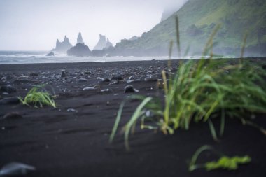 Vik 'te ünlü Reynisdrangar kaya oluşumları ve fırtınalı okyanusta Reynisfjall Dağı ile kara plaj. Güney İzlanda.