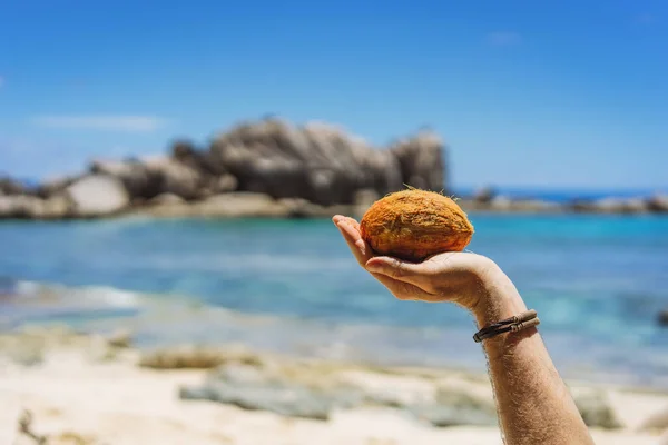화창 한 날 이국적 인 열 대 지방의 백사장에서 갓 껍질을 벗긴 코코넛 열매를 들고 있는 사람 — 스톡 사진