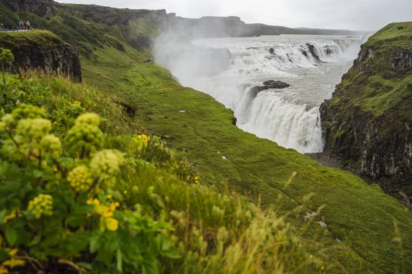 金黄色瀑布 瀑布冰岛 — 图库照片